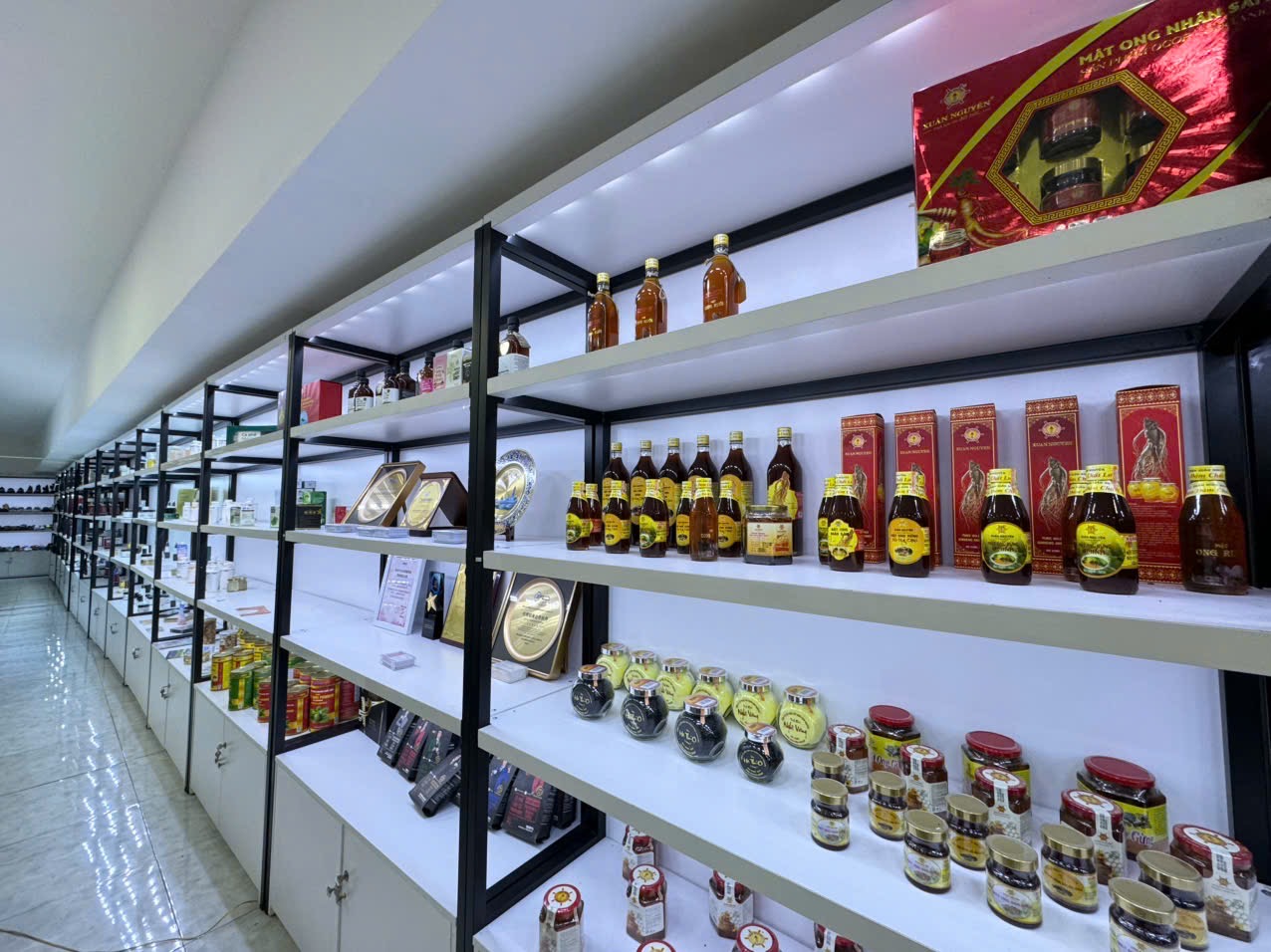 Phòng live 1-AllStars 05